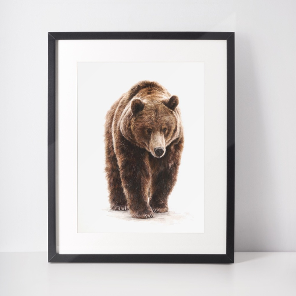 Watercolor Grizzly Bear Portrait Wall Art Print Poster - Unframed Artwork - Picture 3 of 5